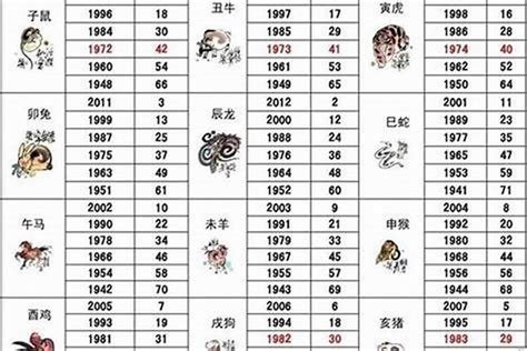 2006 属什么|2006年出生的属什么,2006年是什么生肖